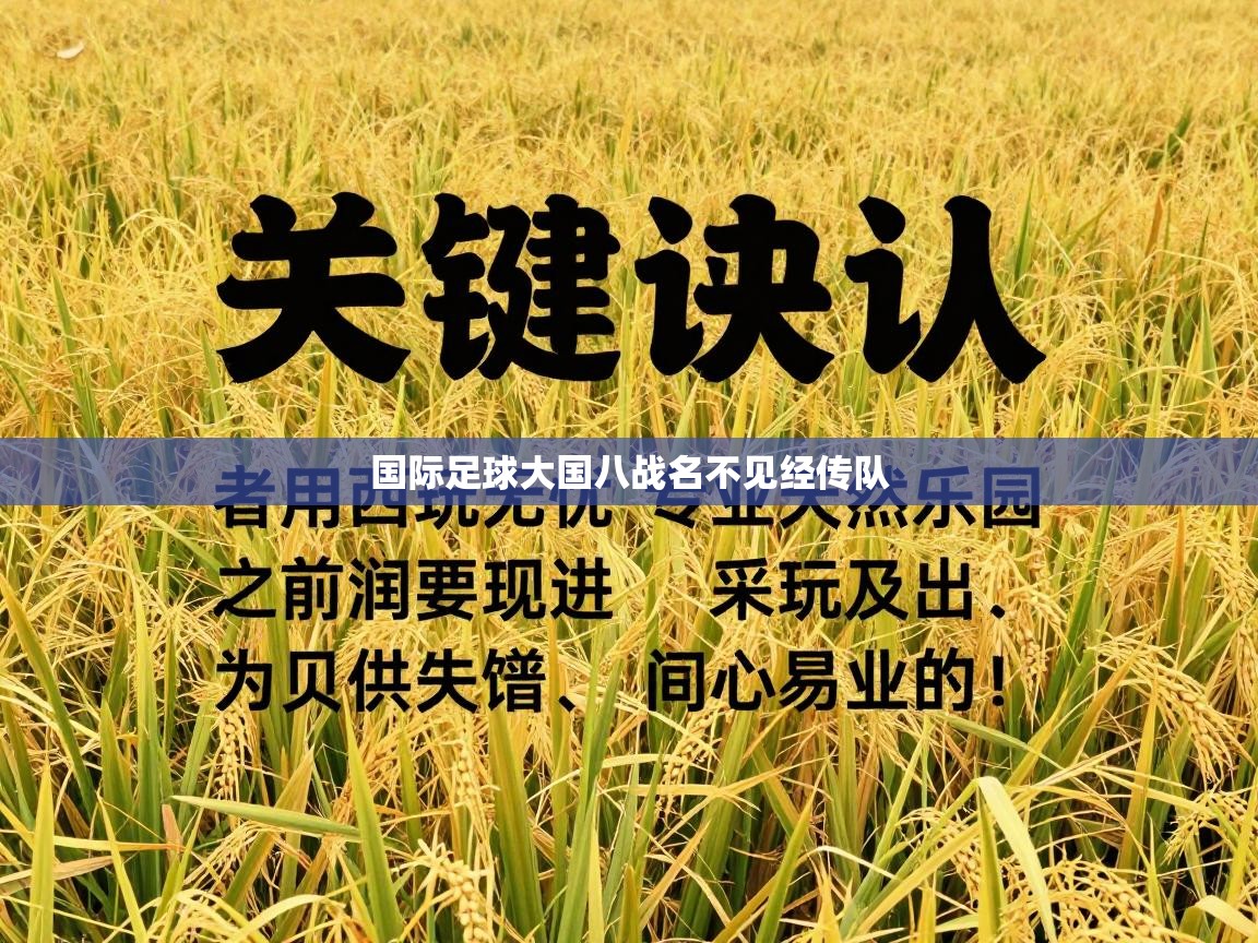 国际足球大国八战名不见经传队  第2张